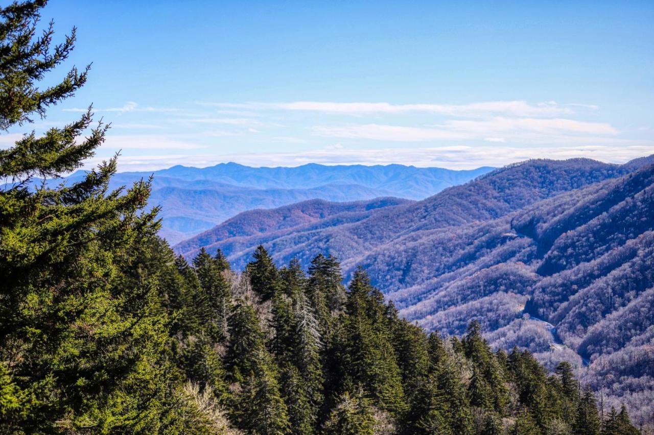 Willa Holly Berry Pigeon Forge Zewnętrze zdjęcie